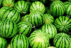 最新火爆吃瓜,揭秘最新火爆吃瓜事件背后的真相