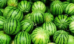 最新火爆吃瓜,揭秘最新火爆吃瓜事件背后的真相