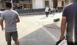 网友吃瓜离婚视频,揭秘明星夫妻离婚内幕