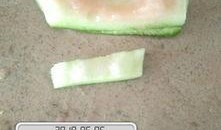 上午吃瓜下午排出,上午吃瓜，下午排生