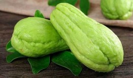 什么季节吃方瓜最好,秋季享用方瓜的最佳时节