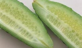 豆瓣可以吃瓜吗,揭秘“可以吃瓜”背后的网络现象