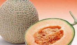 早上空腹吃哈密瓜,开启健康一天的新篇章