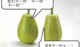 警告吃瓜的视频,揭秘网络视频中的虚假警告