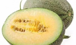 吃瓜网叫啥,网络舆论场上的“瓜王”传奇