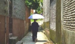 吃瓜事件东城,揭秘背后真相与网络舆论风暴