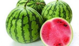 什么瓜不能伺候吃,为何某些“瓜”不宜食用，健康饮食指南