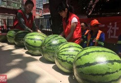 吃瓜的抽象句子,吃瓜群众视角下的社会百态