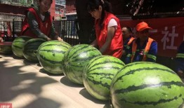 吃瓜的抽象句子,吃瓜群众视角下的社会百态