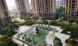 缔景城吃瓜,一场吃瓜盛宴背后的故事