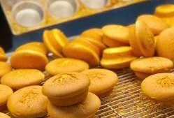 瓜州骆驼奶片怎么吃,便捷营养，轻松享用之道