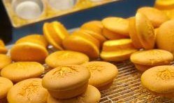 瓜州骆驼奶片怎么吃,便捷营养，轻松享用之道