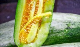 最会吃瓜的网红,网红吃瓜达人带你领略娱乐圈幕后风云