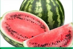 胃吃瓜,揭秘美食背后的健康秘密