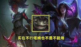 辛迪加吃瓜,揭秘娱乐圈背后的秘密与八卦