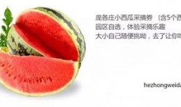 吃瓜中心群众在线,揭秘娱乐圈幕后故事