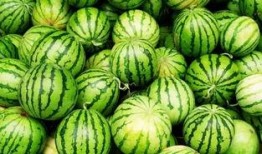 吃瓜要有艺术感,品味生活，畅享瓜趣