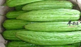 吃瓜去火吗,夏日清凉小妙招