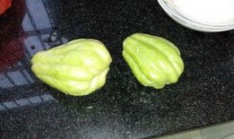 兔儿瓜怎样吃,解锁美味新体验