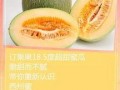 甜蜜瓜怎样吃,解锁夏日美味新体验