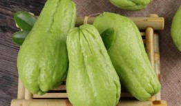 吃佛手瓜排气,轻松排气养生之道