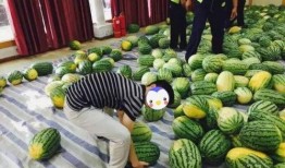 学生买瓜吃,学生们的夏日美食之旅