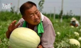 吃瓜了河北,揭秘当地特色美食与风土人情