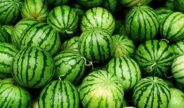 四美吃瓜,揭秘娱乐圈幕后故事