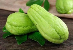 袁婆吃萝卜瓜,一段温馨的乡村记忆