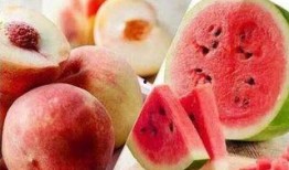 会吃桃的瓜,探寻会吃桃的瓜的奇妙之旅