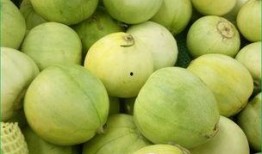 吃小瓜可以和芒果,夏日美味新体验