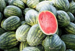 世界吃瓜杯,一场全球美食盛宴的狂欢之旅