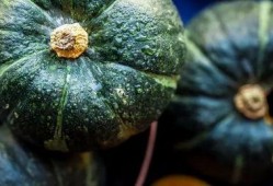 很真实的吃瓜视频,真实还原网络热点的幕后真相