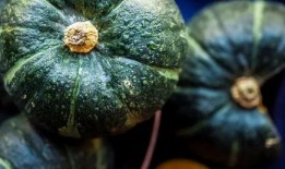 很真实的吃瓜视频,真实还原网络热点的幕后真相