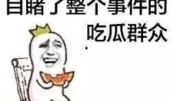 吃瓜前排观众