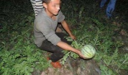 吃瓜壁纸头像男生,揭秘吃瓜壁纸头像男生的魅力瞬间