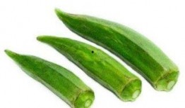 上午吃瓜下午排出,上午吃瓜，下午排生