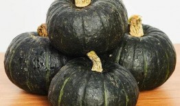 婴儿吃贝贝瓜好吗,婴儿食用贝贝瓜的适宜性与营养益处