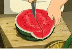 51吃瓜最近更新,揭秘娱乐圈最新热点，带你领略明星幕后故事