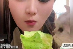 吃瓜的妇女,揭秘吃瓜妇人背后的故事与生活点滴