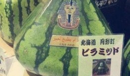 世界最强吃瓜群众,揭秘世界最强“吃瓜群众”的幕后故事