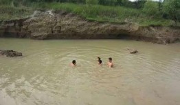 早上可以吃小白瓜,小白瓜早餐新主张