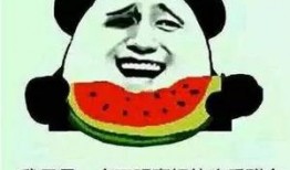 一千万吃瓜群众,揭秘娱乐圈风云变幻