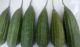 吃瓜感谢谁,致敬那些默默奉献的幕后英雄