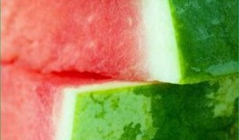 痛风可以吃瓜花吗,营养与健康的平衡之道