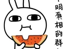 吃瓜怎么了,揭秘网络热议背后的真相与趣味