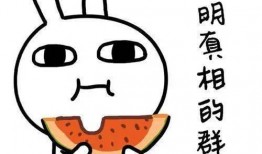 吃瓜怎么了,揭秘网络热议背后的真相与趣味