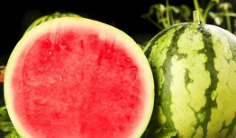 吃瓜的网站哪个最好,揭秘最佳吃瓜平台！