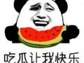 吃瓜小说无cp,一场无CP的甜蜜邂逅