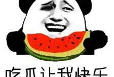 吃瓜小说无cp,一场无CP的甜蜜邂逅